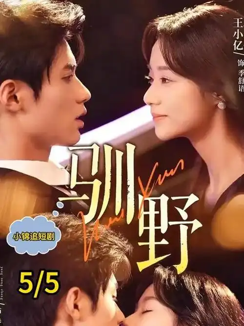 经典恐怖电影旧录像带海报